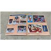 Image 11 : Vintage Hockey Memorabilia Including Gordie Howe Number 9 by Jim Vipond, Panini Sticker Album