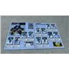 Image 12 : Vintage Hockey Memorabilia Including Gordie Howe Number 9 by Jim Vipond, Panini Sticker Album