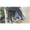 Image 6 : Pallet Lot of Heavy Duty Springs, Section of Exhaust