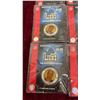Image 6 : Detroit Lions Medallion Collection