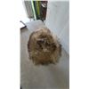 Image 4 : Faux Fur Hat on Mannequin Head