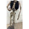 Image 6 : Life-Size Pirate Skeleton Halloween Prop with Bandana, Eye Patch, Vest, and Peg Leg, 62” Tall