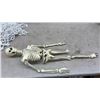 Image 4 : Halloween Decor, Lost Souls Tavern Sign, Skeletons, Plastic Chain and 2 Skeletons