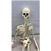 Image 5 : Halloween Decor, Lost Souls Tavern Sign, Skeletons, Plastic Chain and 2 Skeletons