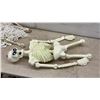Image 6 : Halloween Decor, Lost Souls Tavern Sign, Skeletons, Plastic Chain and 2 Skeletons