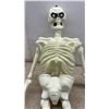 Image 7 : Halloween Decor, Lost Souls Tavern Sign, Skeletons, Plastic Chain and 2 Skeletons