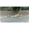 Image 3 : Framed CN Railway Photographic Print Fishing on the Churchill River - Saskatchewan, 24 × 28”