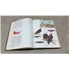 Image 3 : Vintage 1966” The Birds of Canada" Book by W. Earl Godfrey with Color Illustrations, 428 Pages