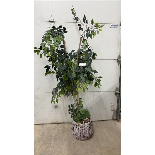 Artificial Ficus Silk Tree in Woven Wicker Basket with Accent Greenery, Approximately 70” High