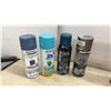 Image 2 : Black and Decker Complete Guide to Bathrooms Book and Spray Paint Cans
