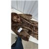 Image 3 : Hurtig Ltd. Fine Furs and Leathers Beaver Fur Coat