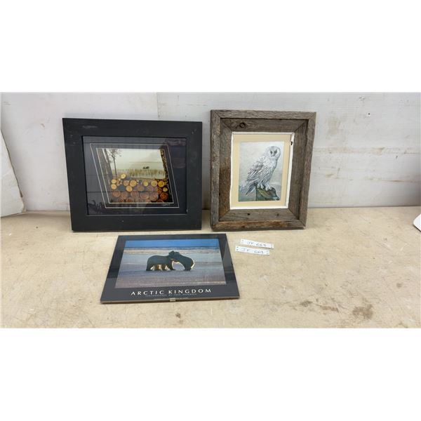 Three Framed Wall Art Including Owl Print in Rustic Frame, Log Photograph by S. Brooks, and Arctic