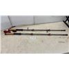 Image 1 : TheFitLife Trekking Poles with Cork Handles and Quick-Lock Adjustable Shafts, Pair