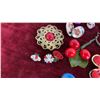 Image 6 : Vintage Brooches, Earrings, and Pins: Red Flower, Gold Question Mark, Blue Oval