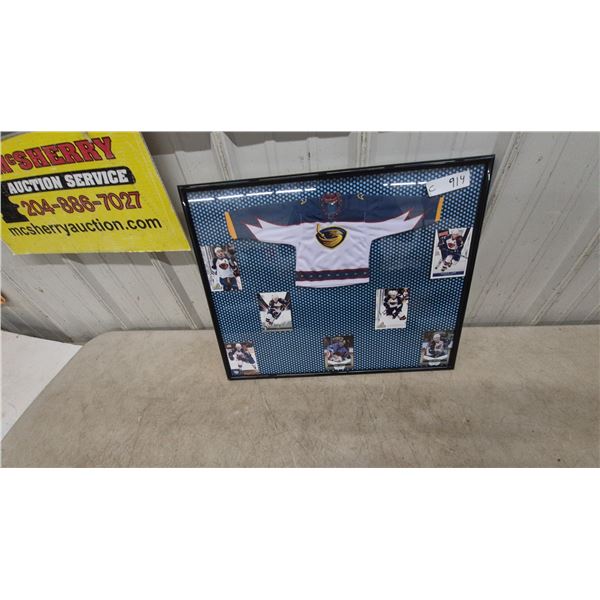 Framed Atlanta Thrashers Jersey and 7 Hockey Cards