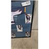Image 5 : Framed Atlanta Thrashers Jersey and 7 Hockey Cards