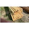 Image 6 : 100 2 × 4 12ft Boards
