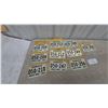 Image 1 : Minnesota D50-Series License Plates, 10x