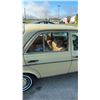 Image 9 : 1977 Mercedes-Benz 280E 4-Door – 6 Cylinder, Runs & Drives, Great Collectors Car! 