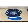 Image 1 : Vintage Winnipeg Jets/St. John's Ice Caps Reebok AHL Hockey Jersey, Men's Small