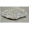 Image 2 : Fossiliferous Limestone 8 × 5 1/2” and Specimen on Stand, Possibly Containing Dinosaur Bones