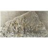 Image 3 : Fossiliferous Limestone 8 × 5 1/2” and Specimen on Stand, Possibly Containing Dinosaur Bones