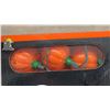 Image 3 : Two Foam Blow Molds Jack-O'-Lanterns 10” and 9” High and Two 10-Count Electrified Terrified