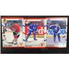 Image 9 : Hockey Card Collection