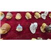Image 5 : 50 Wade Whimsies Ceramic Animal Figurines