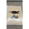 Image 5 : 1967” Birds of the Northern Forest" by John A. Livingston, Paintings by J.F. Lansdowne. Full of
