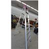 Image 1 : Lite Products Inc. Portable Step Ladder, Model C704