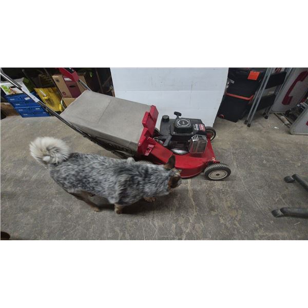 Toro 530 OHV Walk-Behind Lawn Mower with Grass Catcher