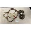 Image 1 : New Bosal Training Bridle and Rope