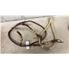 Image 3 : New Bosal Training Bridle and Rope