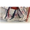 Image 6 : 2 15 × 12 Framed Autographed Tie Domi and Nikolai Khabibulin Winnipeg Jets Photos and Hockey Cards