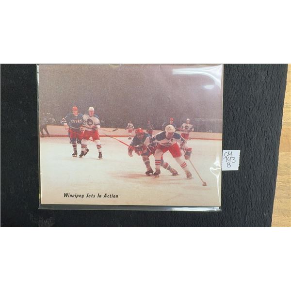 Vintage Winnipeg Jets VS Quebec Nordiques 1978 Program