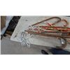 Image 4 : Assorted Candy Cane Christmas Lights, 8+ Pieces