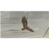 Image 4 : Tom Bendoni "The Bald Eagle and Osprey" Framed Signed Print, 20 × 24”