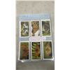 Image 2 : 2 Complete Sets of Cards: John Players and Sons Grandee British Butterflies 32 Card Full Set and