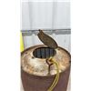 Image 4 : Minnow Keeper