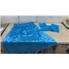 Image 6 : New Traditional East Indian Clothing Including Saris, Salwar Kameez, and Choli Blouses