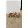 Image 5 : 16 TY Beanie Babies