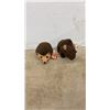 Image 6 : 16 TY Beanie Babies