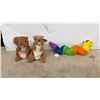 Image 7 : 16 TY Beanie Babies