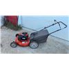Image 1 : Husqvarna Push Lawn Mower with Briggs and Stratton 250ZX 5.50 Gross Torque Engine and Rear Bag