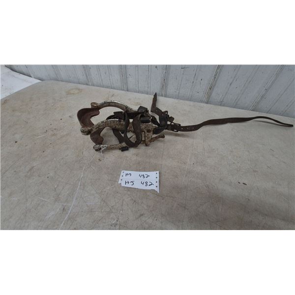 Antique Horse veterinary device to hold horse mouth open