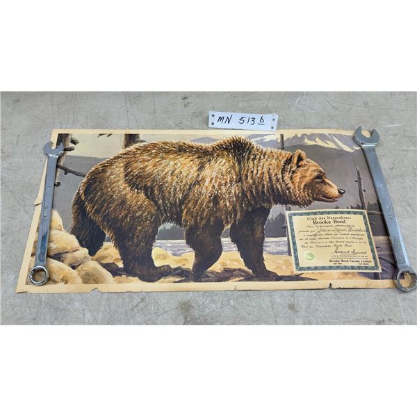 Vintage Brooke Bond Canada Club des Naturalistes Grizzly Bear Poster with Completion Certificate
