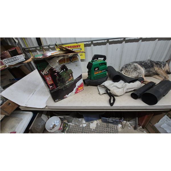 Weed Eater Barracuda SV22 Super Blower Mulching Vac, Bag, and Attachments