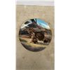 Image 6 : 8 Will Nelson Collectable Wild Life Plates