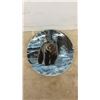 Image 3 : 7 Paul Krapf WildLife Plates